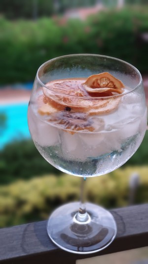 Gin tonic with dried citric fruits