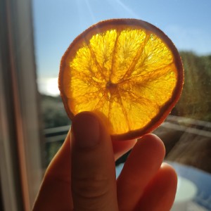Rodajas deshidratadas de naranja ecológica 