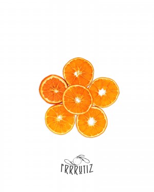 Rodajas de naranja deshidratada 
